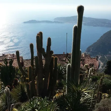 Serenity Les Pins Appartement